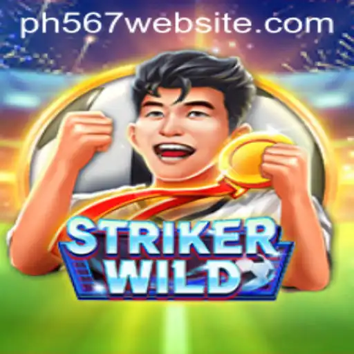 Exploring the Action-Packed World of StrikerWILD
